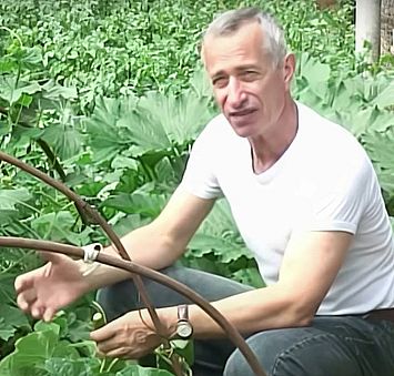 Нечто странное: Как питается морской огурец
