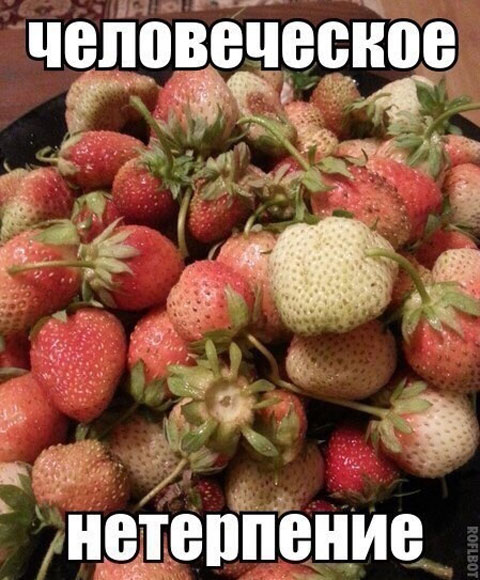 Пятница. Вечер. Картинки всякие #11