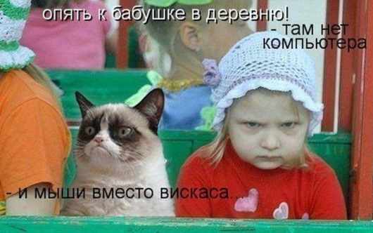 Картинки и мемы - "Жить, как говорится, хорошо..."
