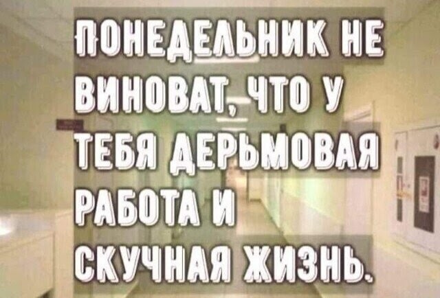Картинки и мемы для настроения - 125