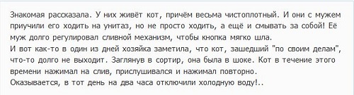 Как отучить кота ссать мимо лотка