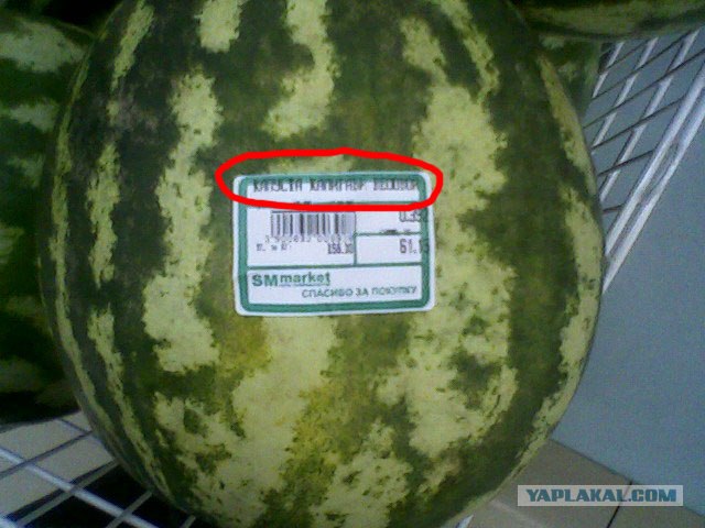 Приколы из Казахстана