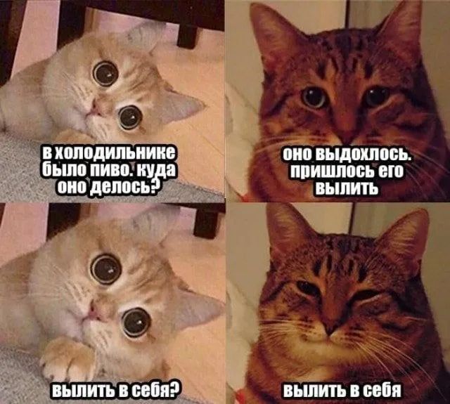 Прикольные и просто красивые картинки 12.05.2023