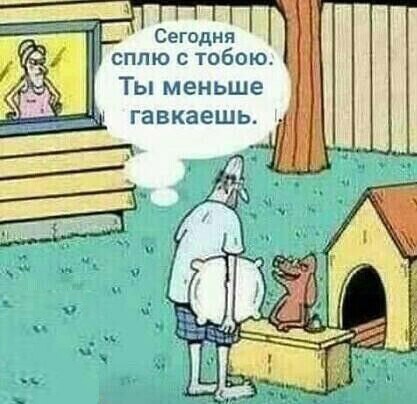 Так себе картинки 12.07.23