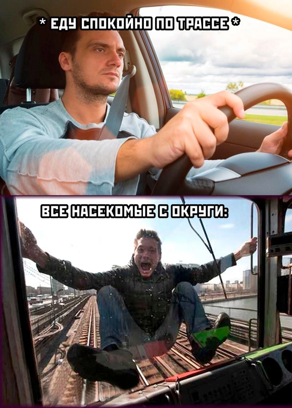 Весёлый полтишок 19.07.23