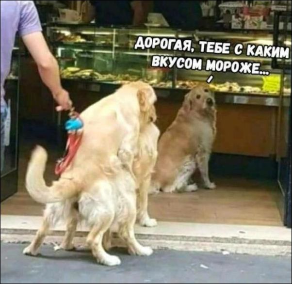 Исче бояны ЯПископаемые