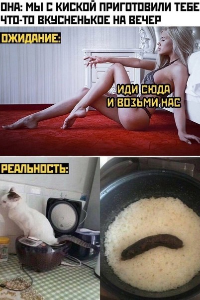 Весёлый полтишок 27.03.24
