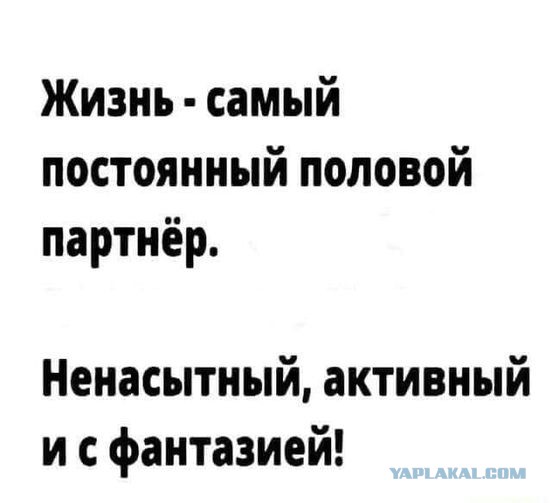 Картинки и буквы 24.06.2024