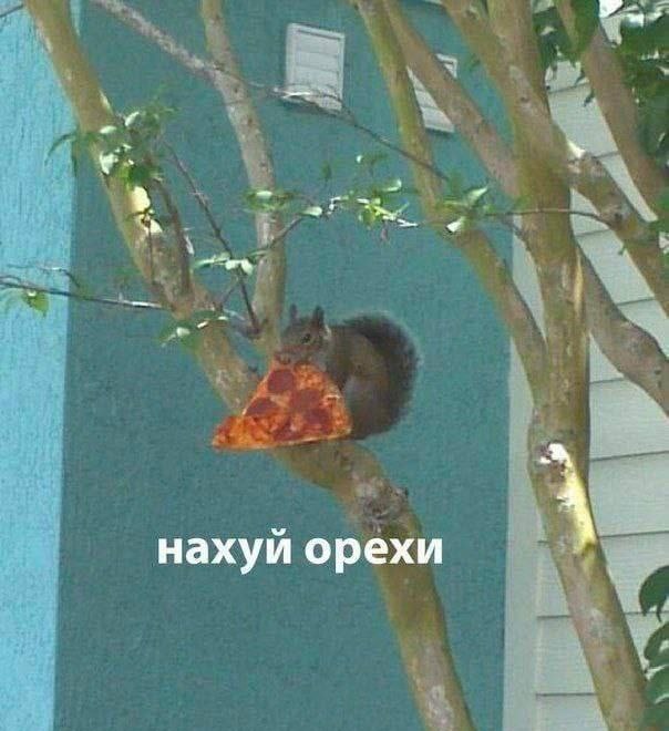 Сборник бабаянов или неожиданная помойка