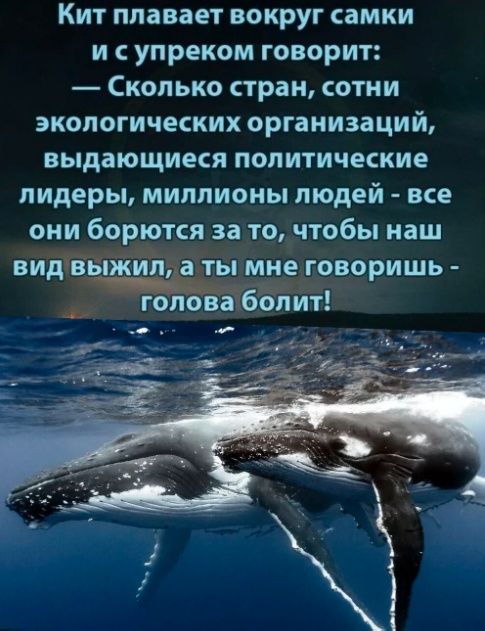 Картинки разные с надписями и без