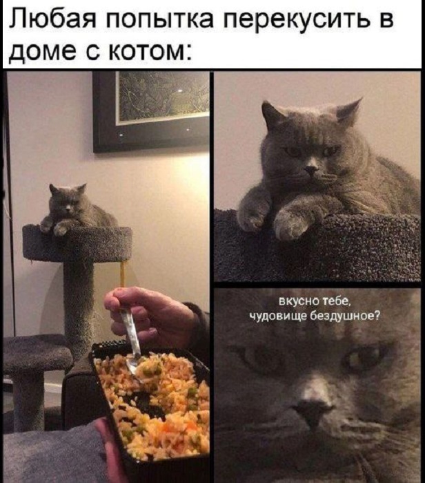 Картинки разные с надписями и без