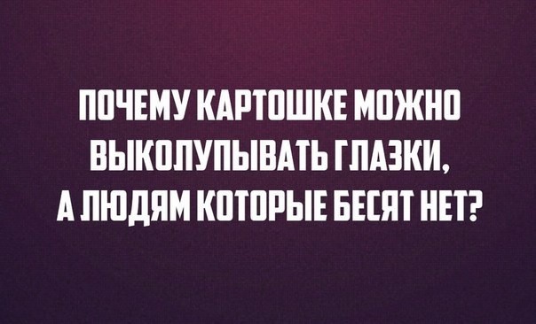 Ну что, господа. Послепраздничная дичь