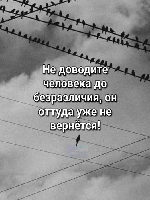 Пятничные бояны