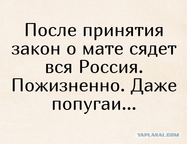 Судьи недовольны неразборчивостью дорожных камер