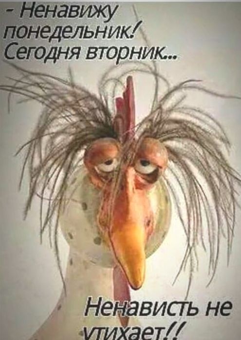 Так себе картинки 21.06.26