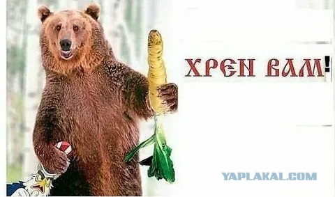 Короткий пост про Янино
