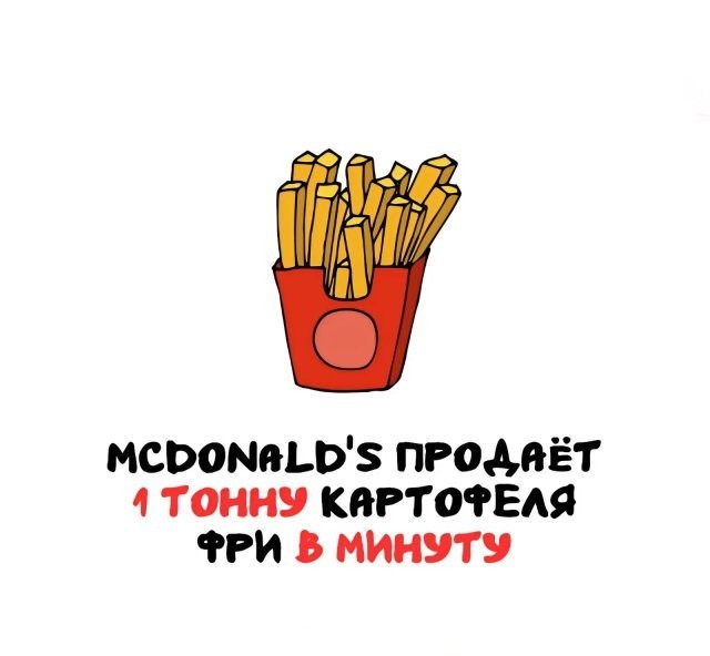 Интересные и короткие факты, на все случаи жизни