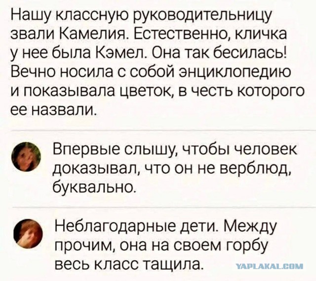 Картинки для деградации 279 (разной степени свежести)