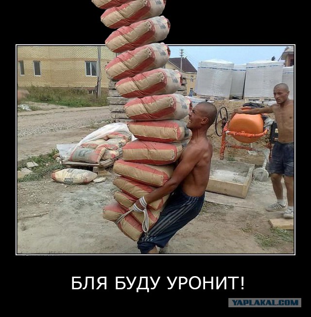 Силен, бродяга!