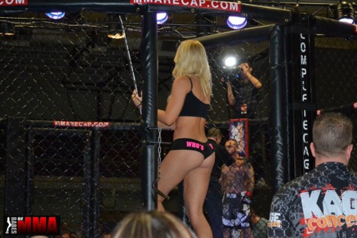 БОКС/MMA....