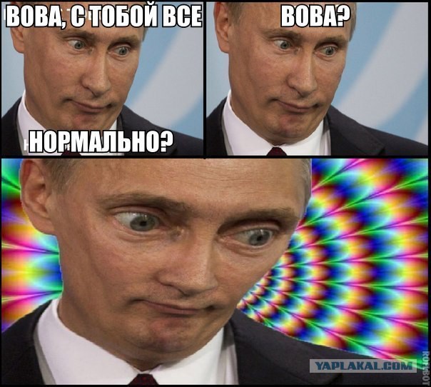 Грибы России