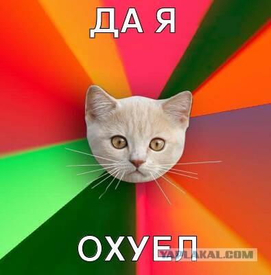 Столько бреда в одной фотке!