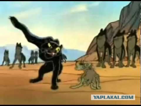 В панике валят вину друг на друга (Майдан)