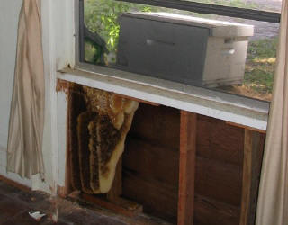 Вернулся как-то хозяин дома после долгого