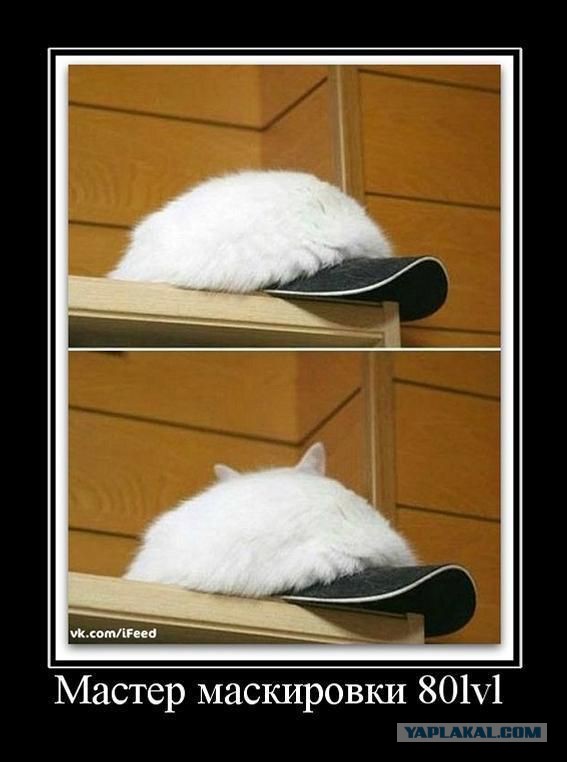 Весёлые картинки. Разбавим будни