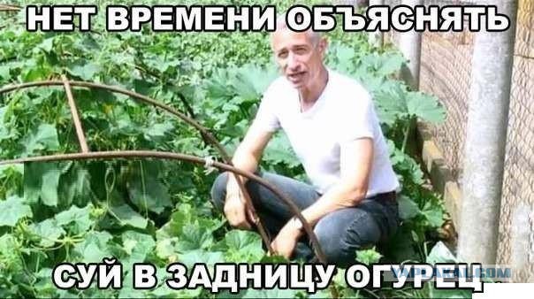 На зло бабушке отморожу уши.