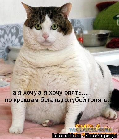 Стена желаний