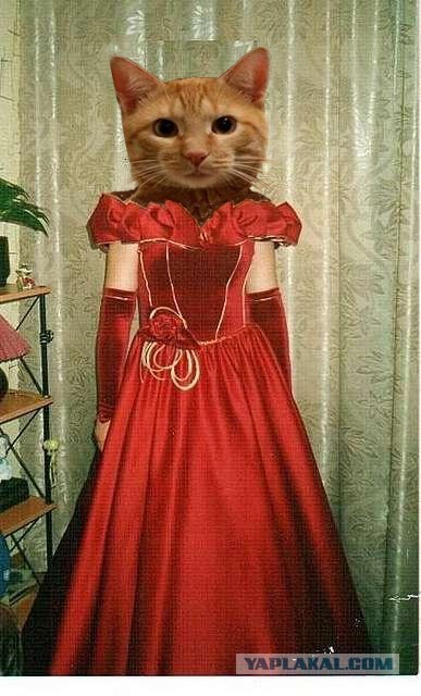 Платье на выпускной