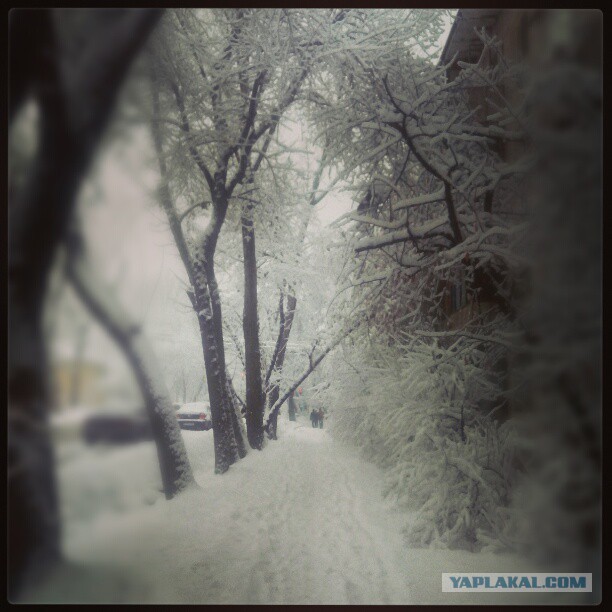 Жемчужина Казахстана! Almaty Tapok Edition
