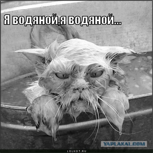 Дневник Водяного