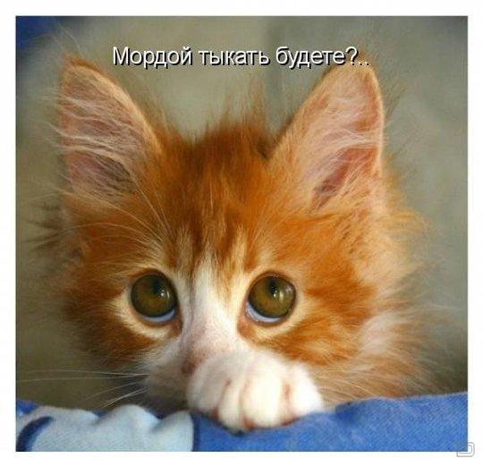Демотиваторов пост, добавляйте свои