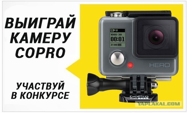 Весёлые картинки