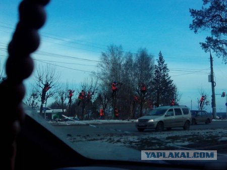 Веселые картинки