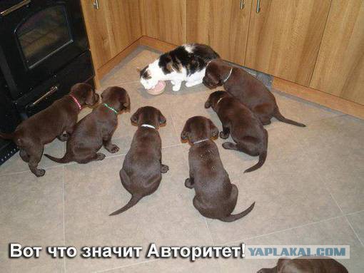 Фотки из инетов