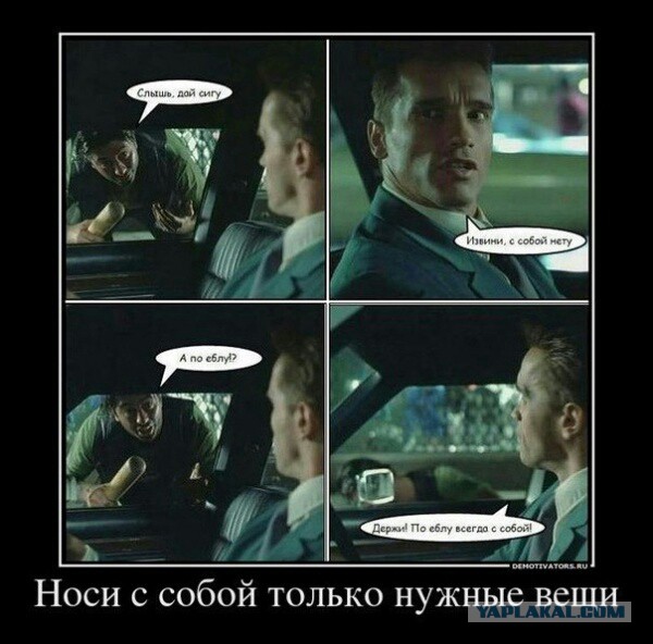 Коллекция картинок