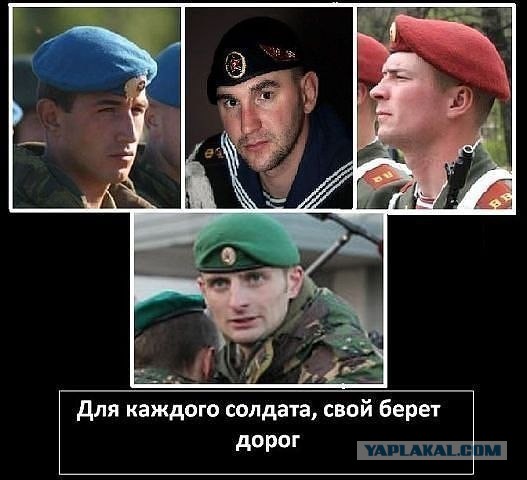 Политическая солянка #1
