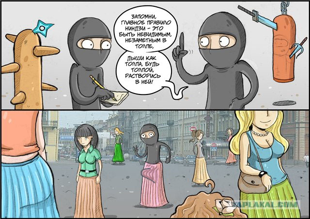 Главное правило ниндзи