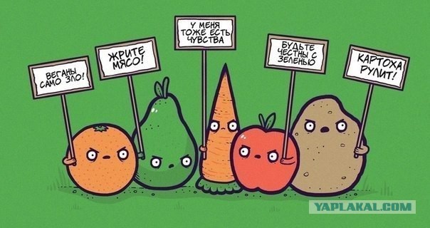 Минутка шизофрении