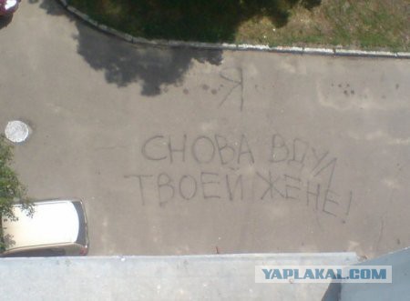 Веселые картинки