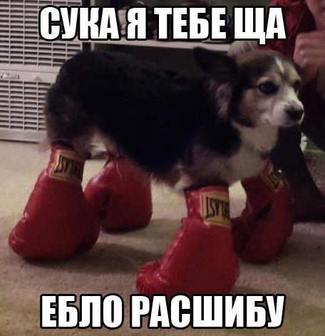 Картинки набрались разные