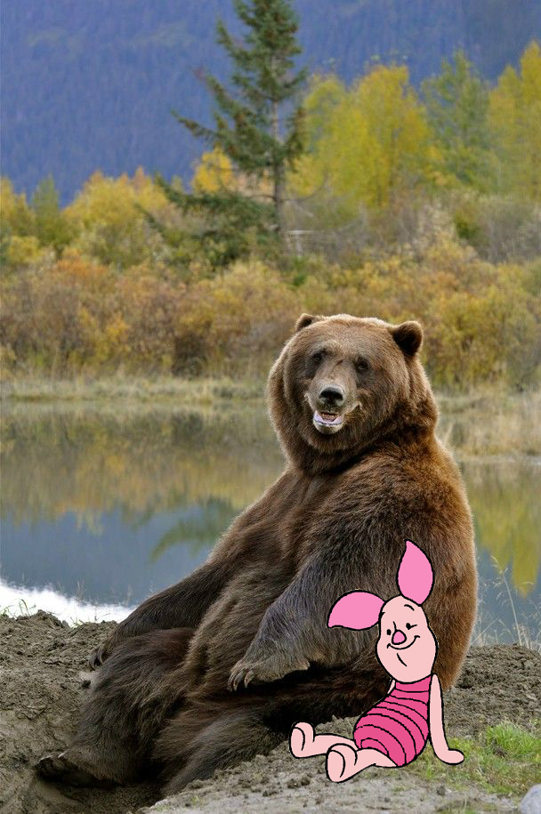 Отфотошопили веселого медведя..