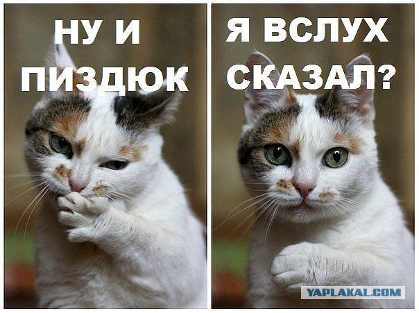 Начало красивое, а дальше, как всегда