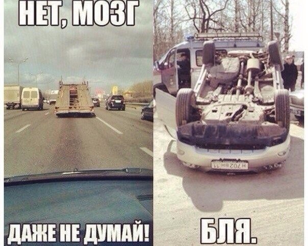 Подборка прикольных фото на пятницу