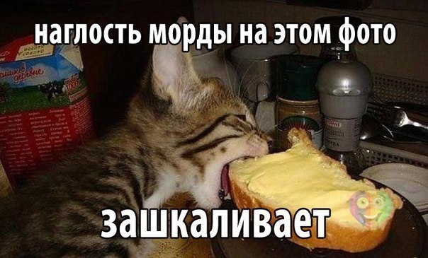 Подборка прикольных фото на пятницу