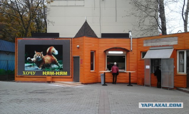 В Кремле поддерживают решение Москвы по "гадюшникам" у метро