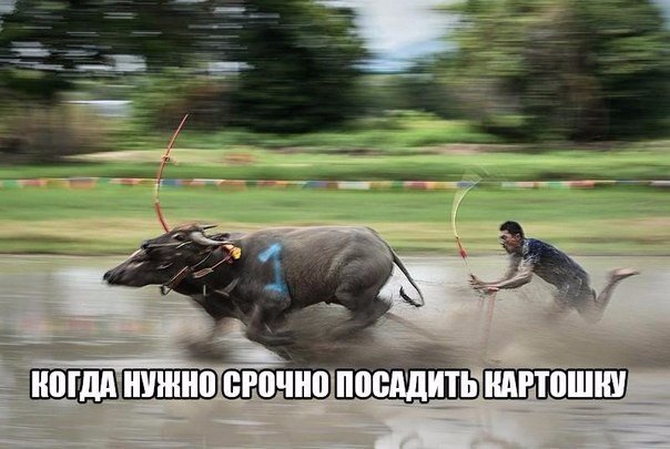 Подборка картинок на 05.04.16